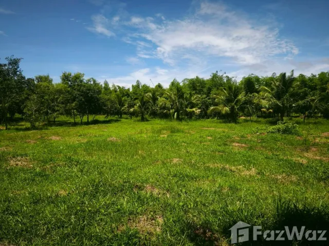 place photo 45