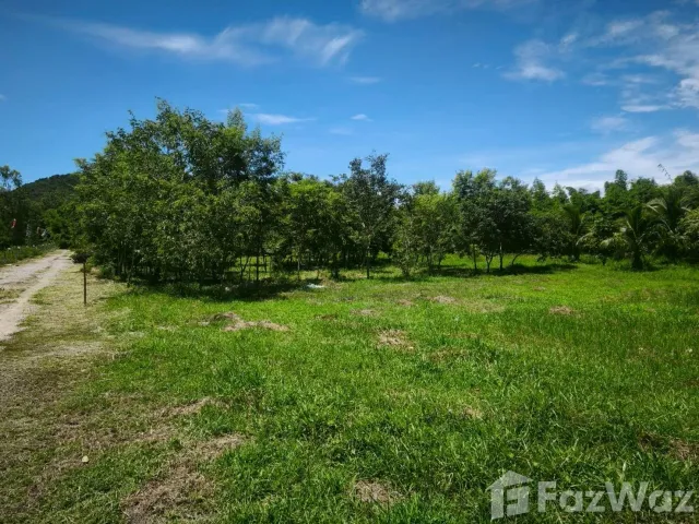 place photo 46