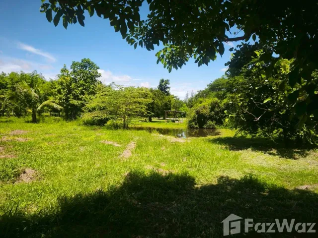 place photo 48