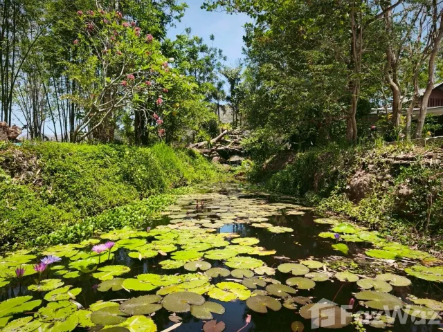 place photo 42