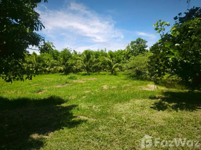 place photo 44