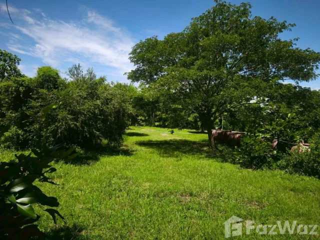 place photo 47