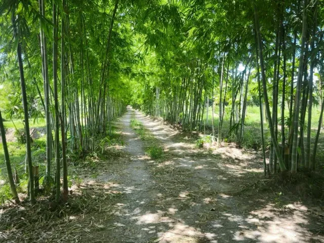 place photo 49