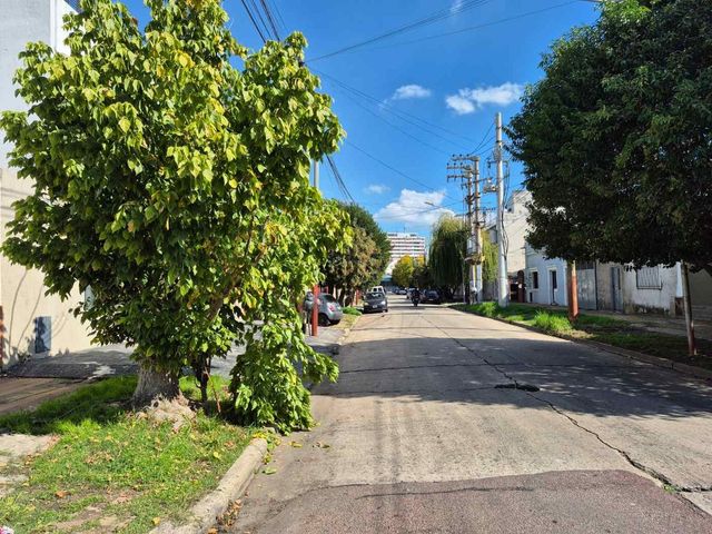 place photo 23