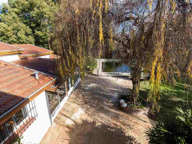 place photo 61