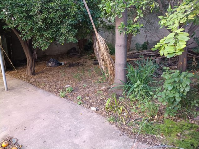 place photo 21