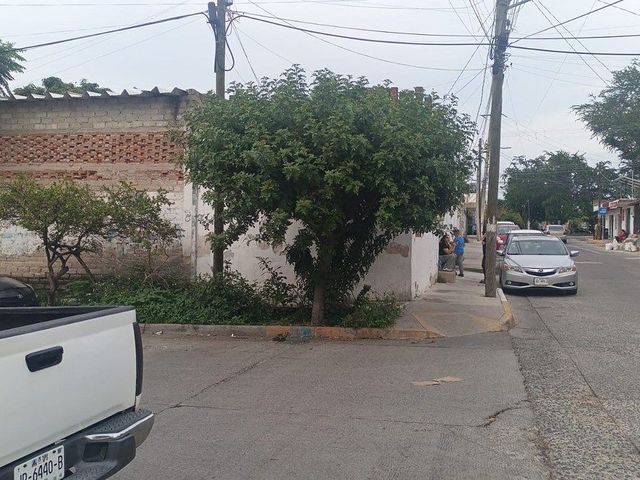 place photo 15