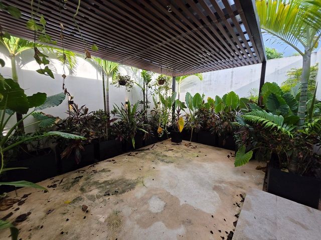 place photo 39