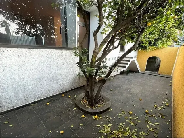 place photo 43