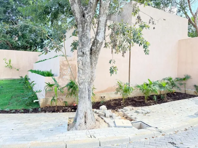 place photo 18