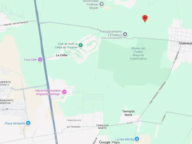 place photo 10