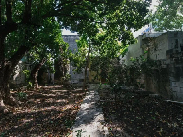 place photo 21