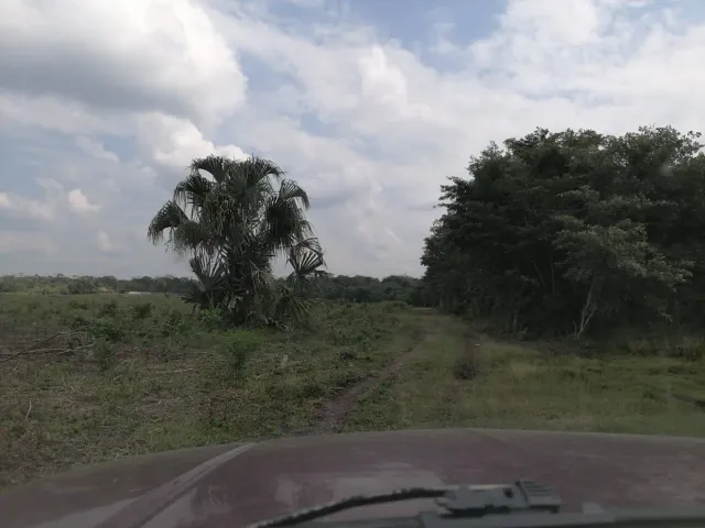 place photo 18