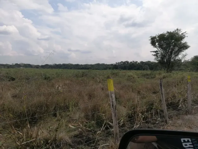 place photo 21