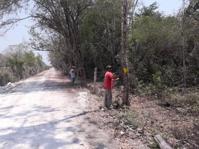 place photo 4
