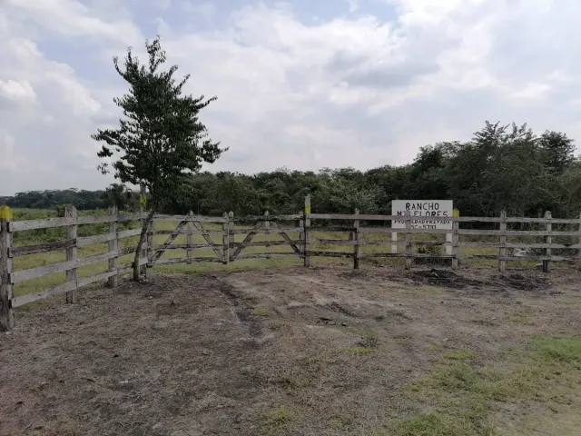 place photo 19