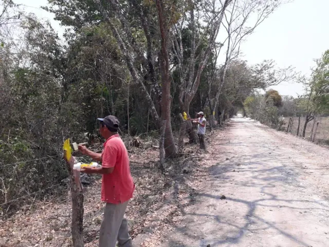 place photo 23
