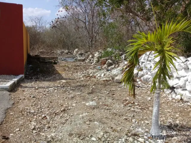 place photo 4