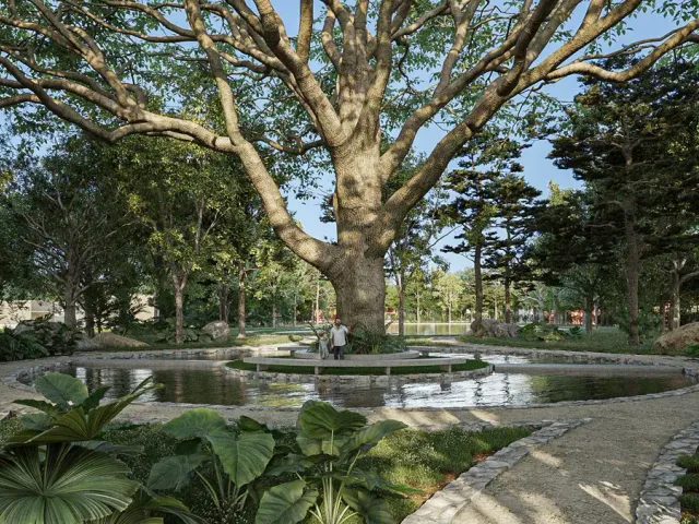 place photo 17