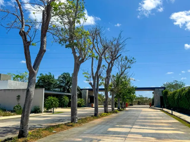 place photo 13