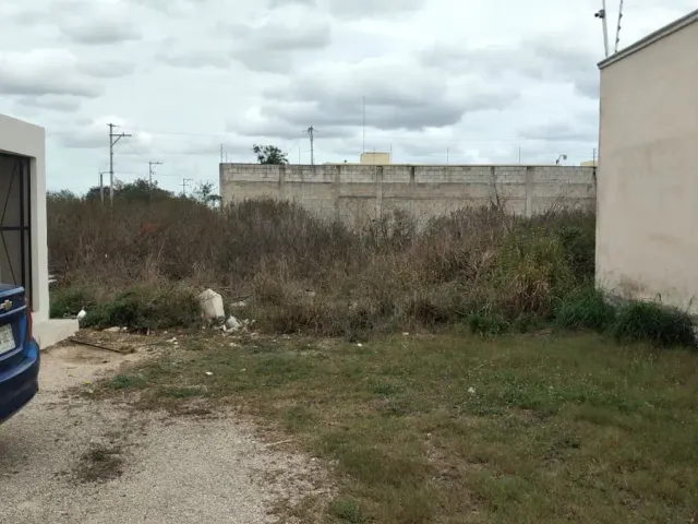 place photo 11