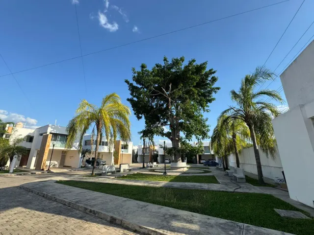 place photo 23