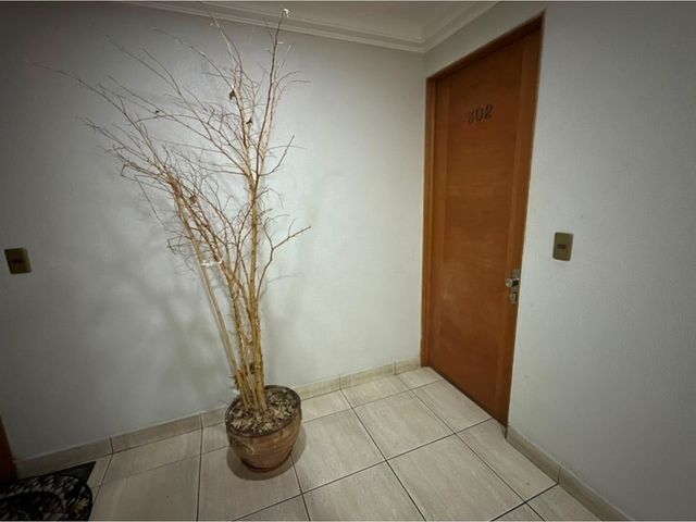 place photo 50