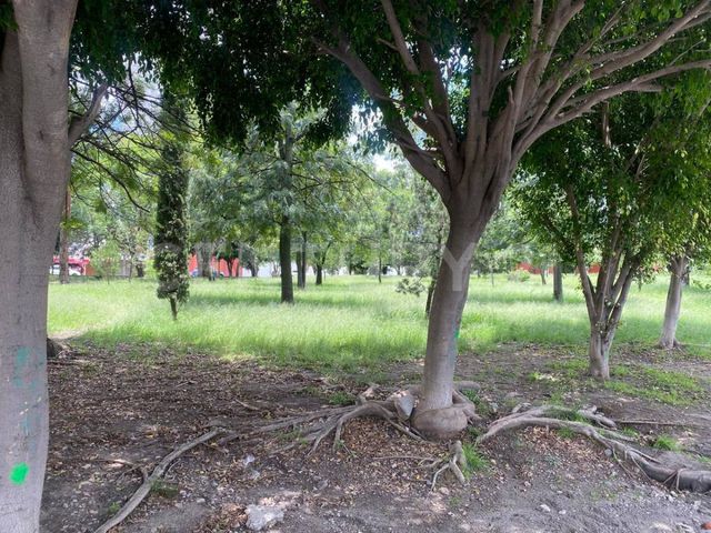 place photo 24
