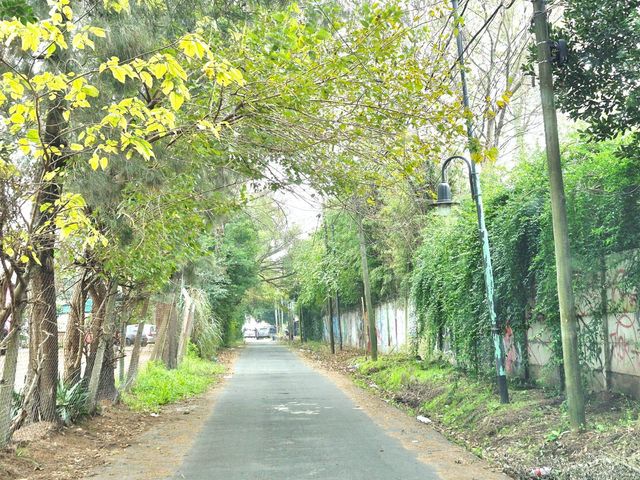 place photo 39