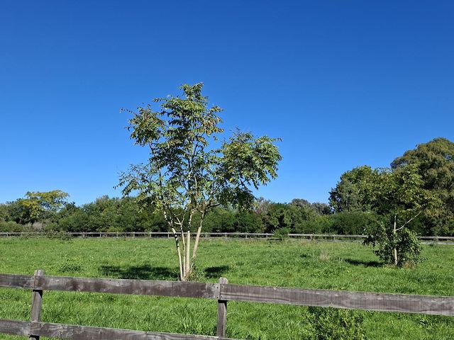 place photo 56