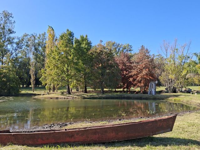 place photo 49