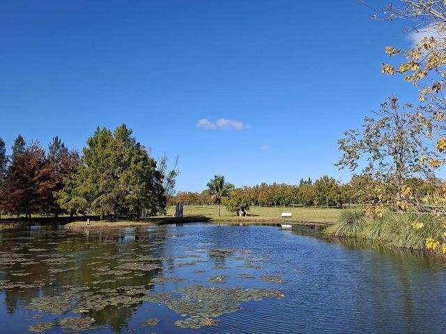 place photo 47
