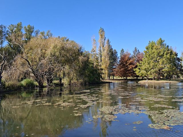 place photo 45