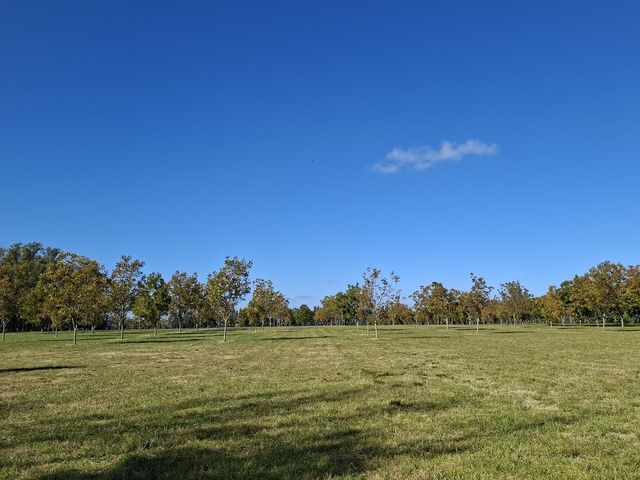 place photo 51