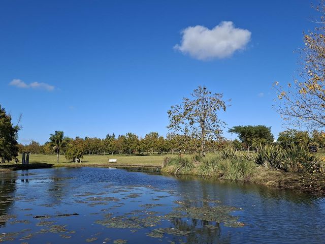 place photo 47