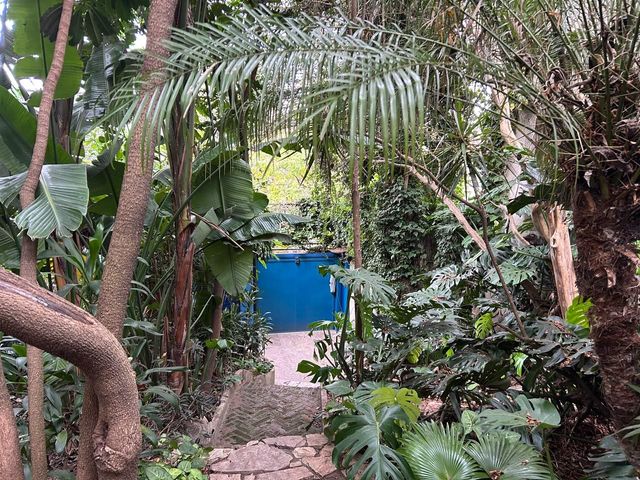 place photo 24