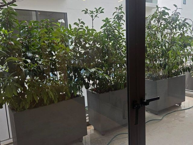 place photo 23