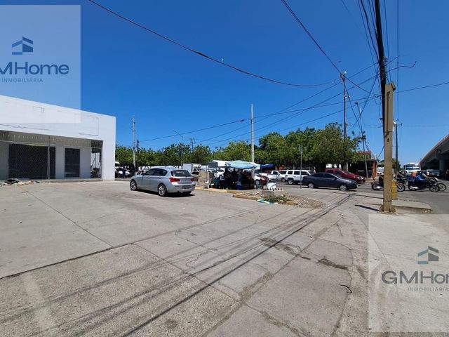 place photo 7