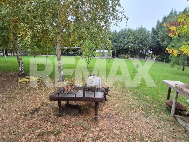 place photo 47