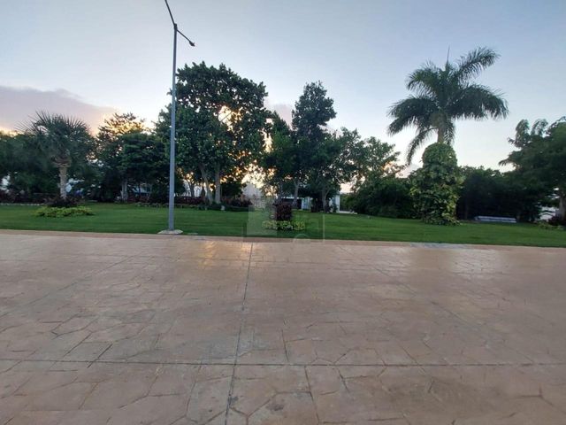 place photo 38