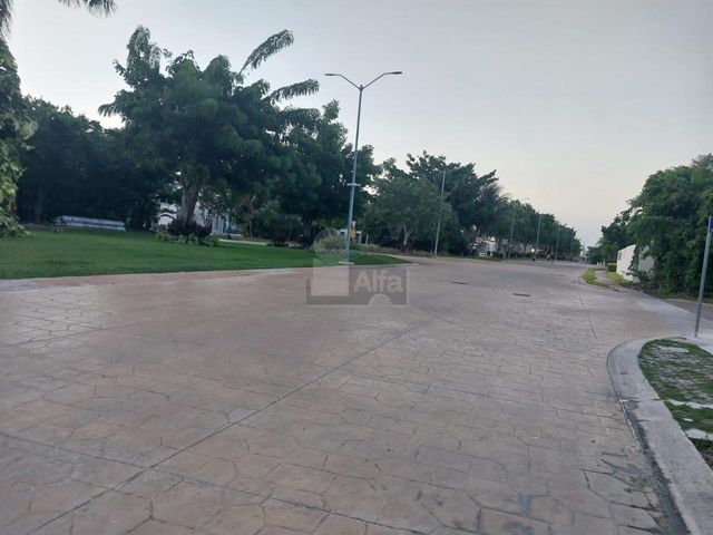 place photo 43