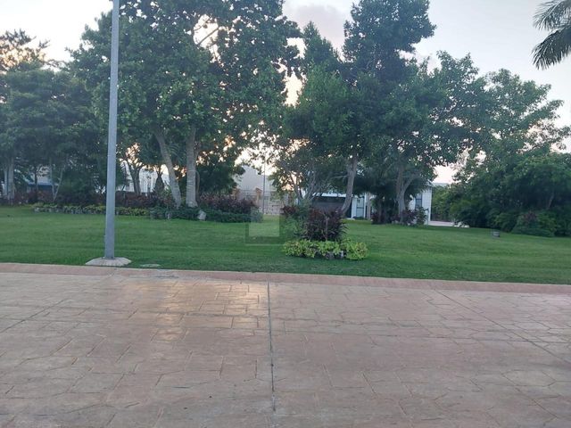 place photo 42