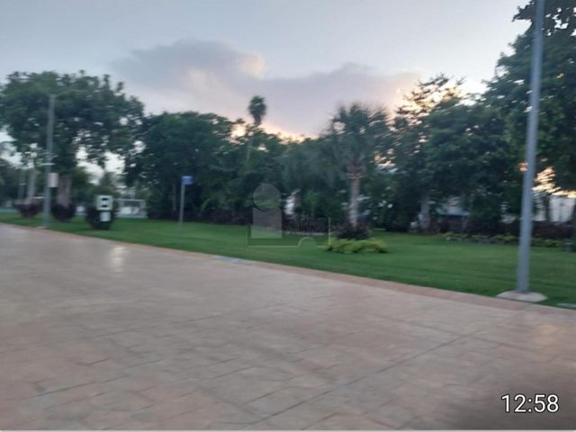 place photo 31