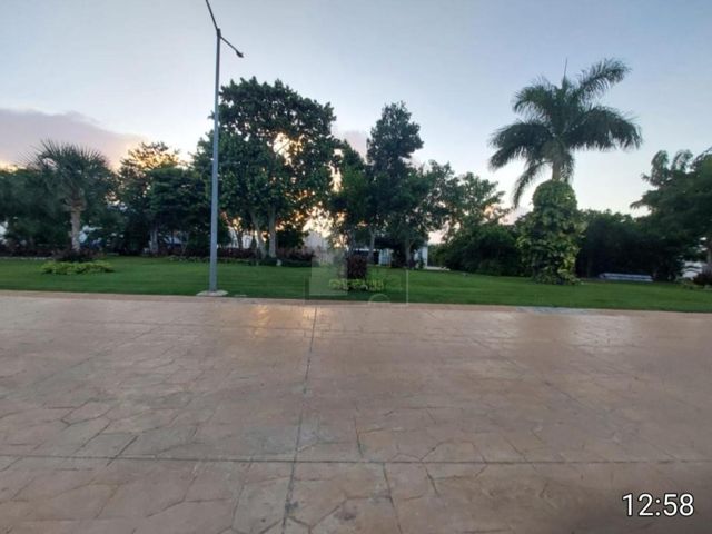 place photo 30