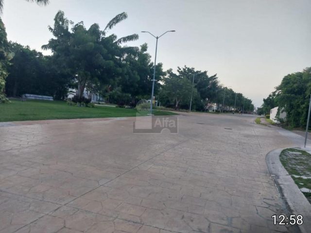 place photo 34