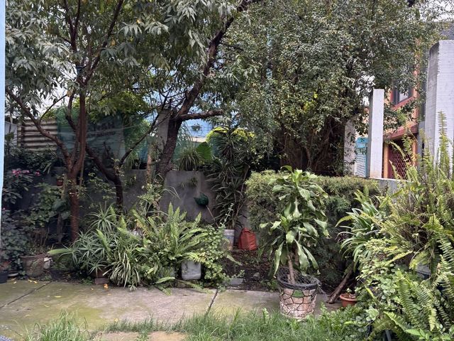 place photo 20