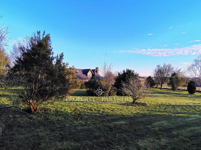 place photo 32