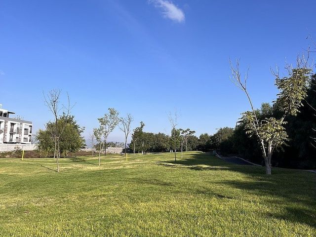 place photo 38