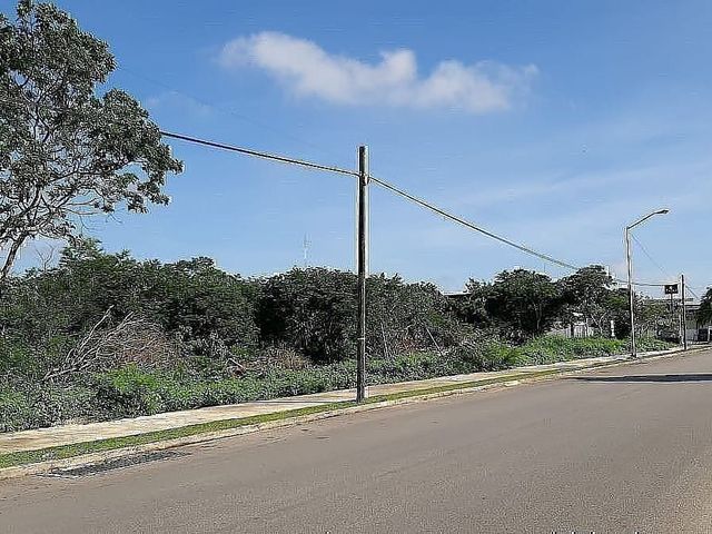 place photo 3