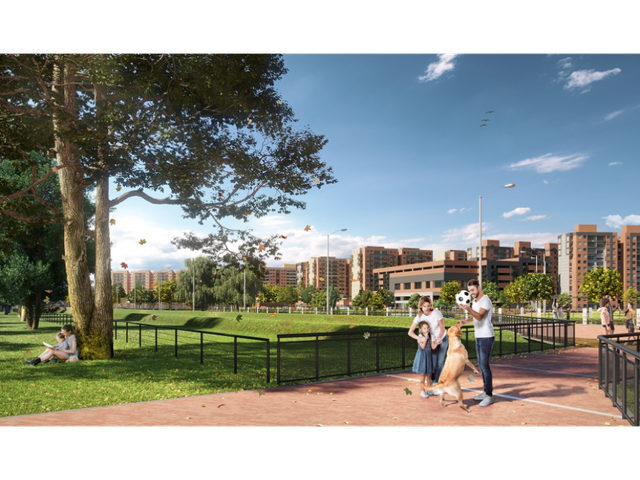 place photo 23